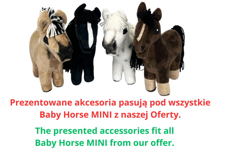 ACCESSORIES - SET 1 - FOR BABY HORSE MINI