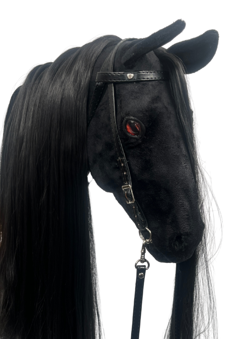 REALISTIC HOBBY HORSE – BLACK/BLACK MANE