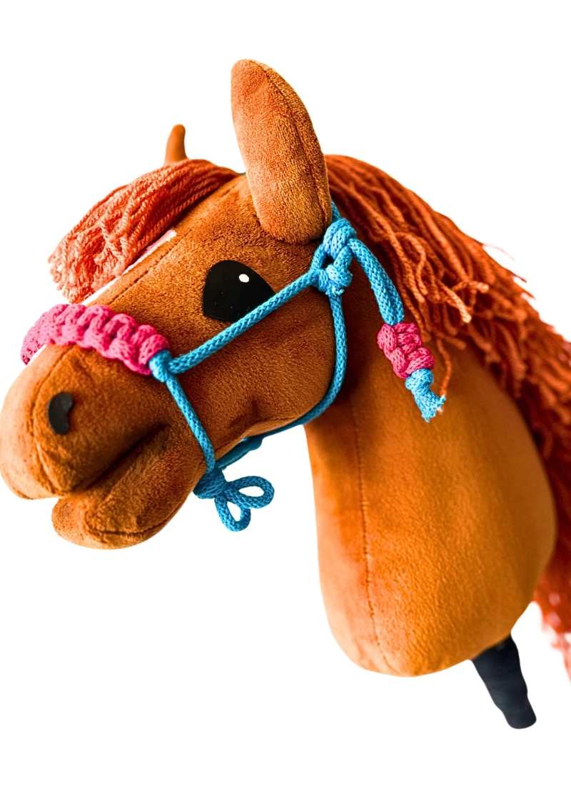 DRESSAGE hobby horse - BLACK A3