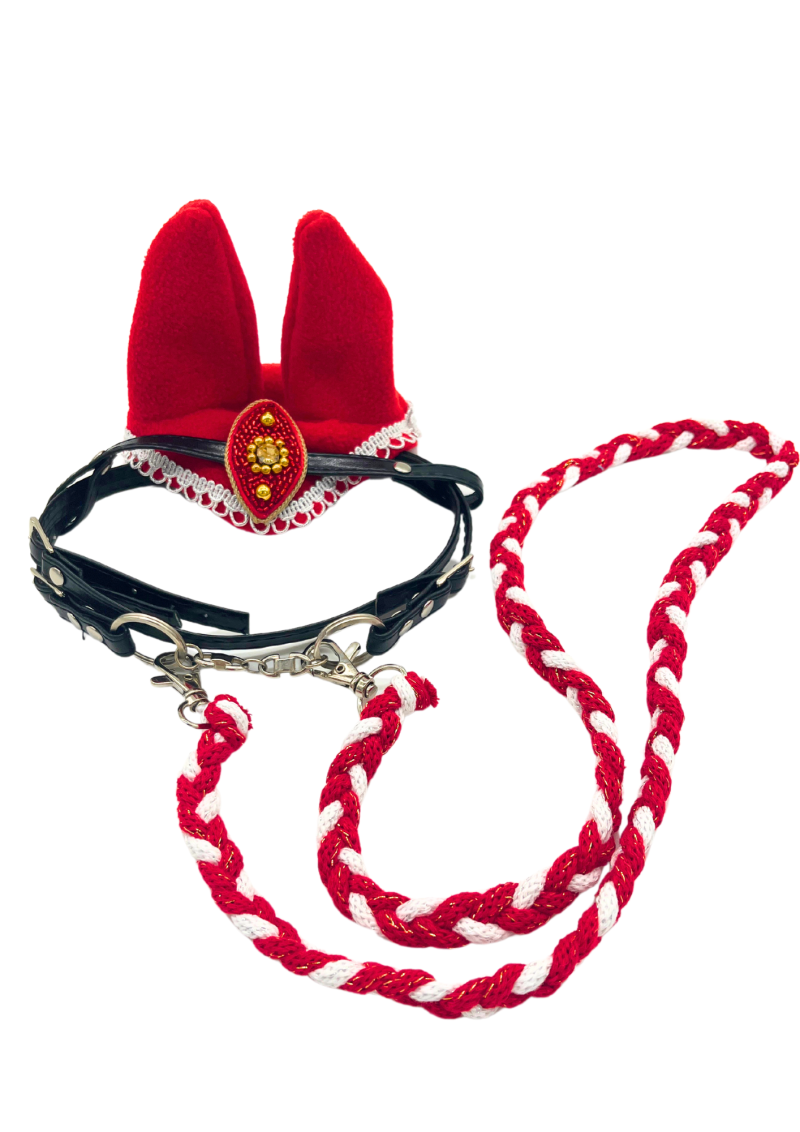 Set for Realistic HH with jewelry: ear warmers with jewelry, western bridle, rope reins.