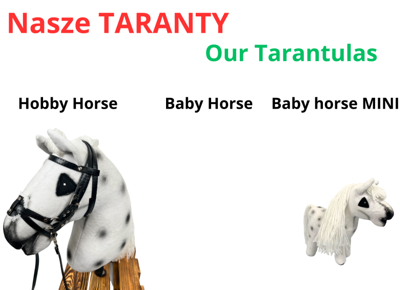 BABY HORSE MINI - Tarant