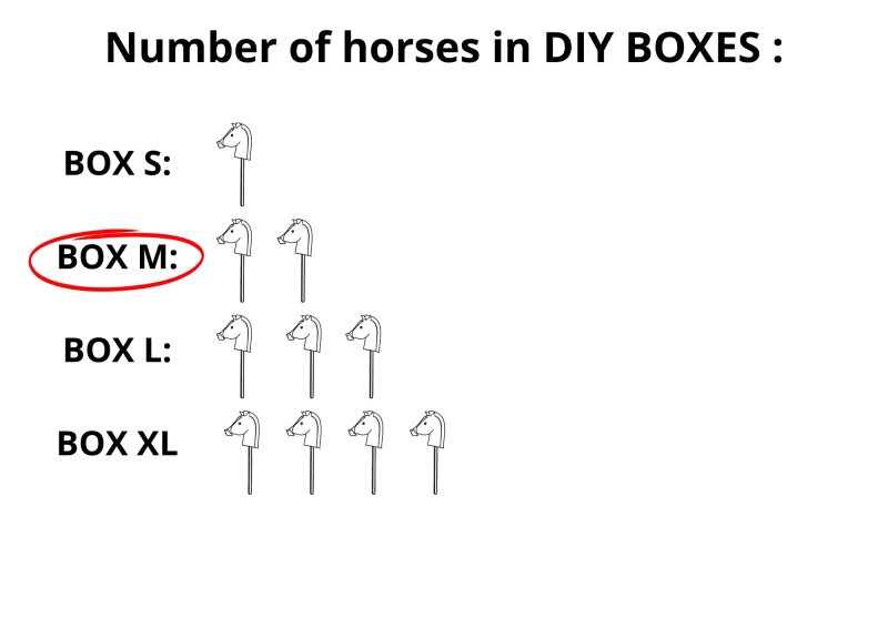 BOX M (for 2 horses) – A4 SIZE