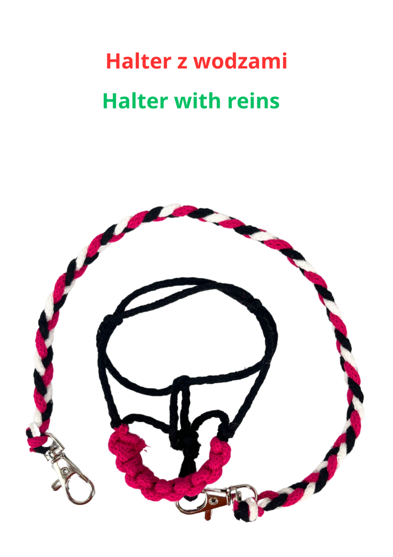 ACCESSORIES - HALTER (WITH POSSIBILITY OF ADDING REINS) for baby horse MINI