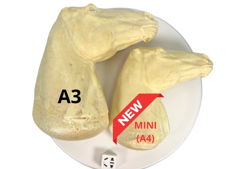 REALISTIC HOBBY HORSE – TARANT vol 2