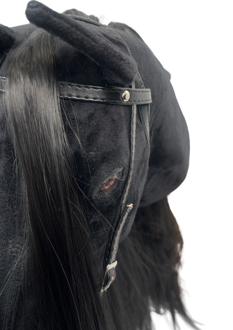 REALISTIC HOBBY HORSE – BLACK/BLACK MANE