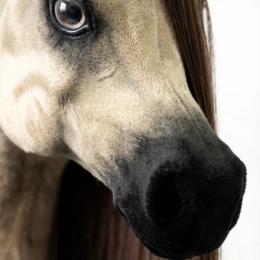 REALISTIC HOBBY HORSE – WHITE/WHITE MANE