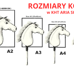 HOBBY HORSE – APPALOOSA A2-A5