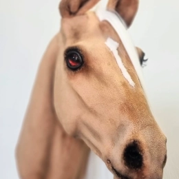 REALISTIC HOBBY HORSE - PALOMINO/PATCH