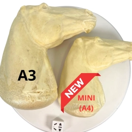 A RANDOM realistic horse from our offer