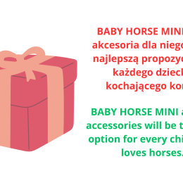 ACCESSORIES - SET 1 - FOR BABY HORSE MINI