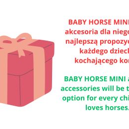 ACCESSORIES - SET 1 - FOR BABY HORSE STANDARD
