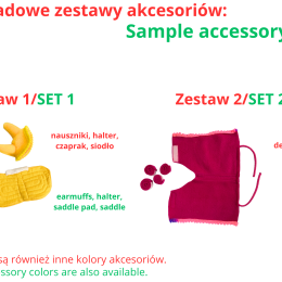 ACCESSORIES - SET 1 - FOR BABY HORSE MINI