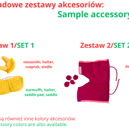 ACCESSORIES - SET 1 - FOR BABY HORSE STANDARD