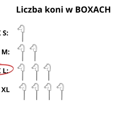 BOX L (for 3 horses) – SIZE A5