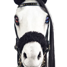 REALISTIC HOBBY HORSE – BLACK AND WHITE/BLACK MANE