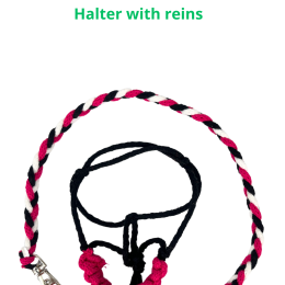 ACCESSORIES - HALTER (WITH POSSIBILITY OF ADDING REINS) for baby horse MINI