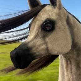 REALISTIC HOBBY HORSE – WHITE/WHITE MANE