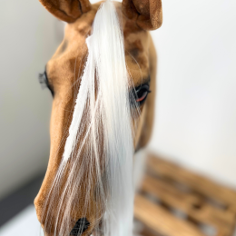 REALISTIC HOBBY HORSE - PALOMINO/PATCH