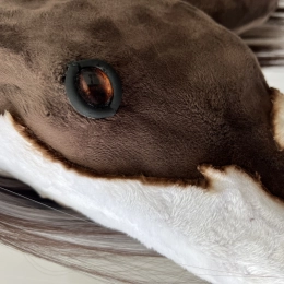 REALISTIC HOBBY HORSE – BAY/BLACK AND WHITE MANE/PATCHES