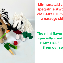 Mini treats for BABY HORSE MINI