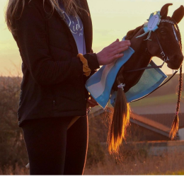 A RANDOM realistic horse from our offer