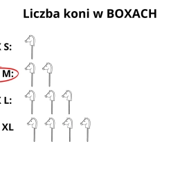 BOX M (for 2 horses) – SIZE A3